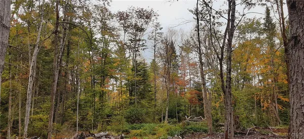 $434,700 | Dutchtown Road, Dolgeville, NY 13329
