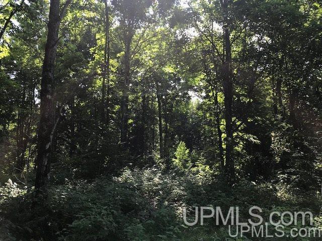Tbd Rock River Road Deerton, MI 49822 - Photo 6 of 12