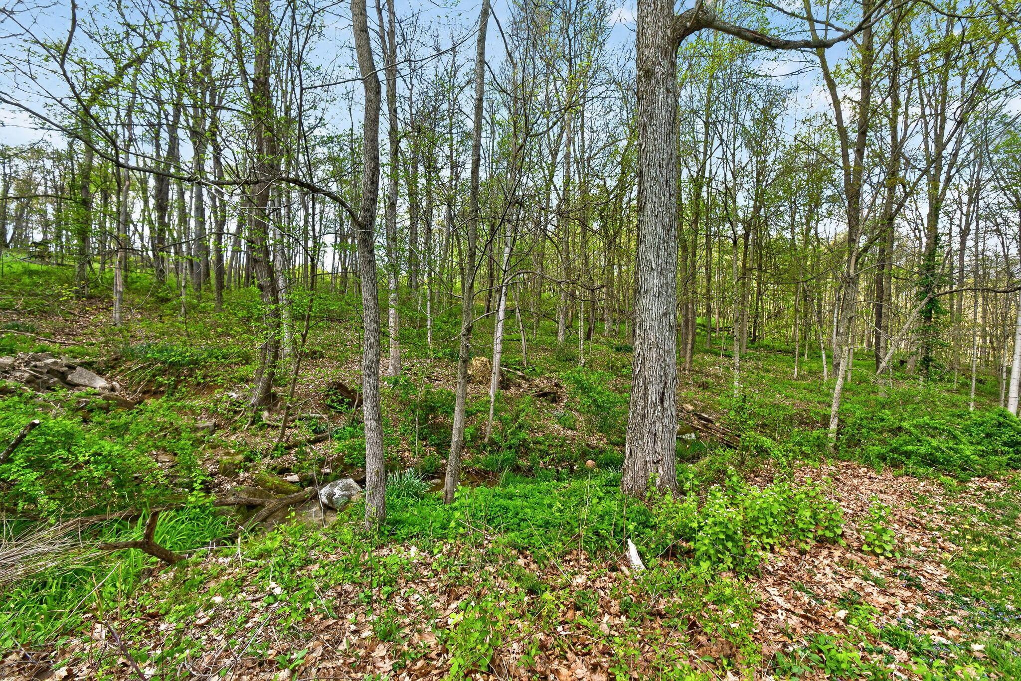 15331 Wooster Road Mount Vernon, OH 43050 - Photo 38 of 49 Gallery Image 38