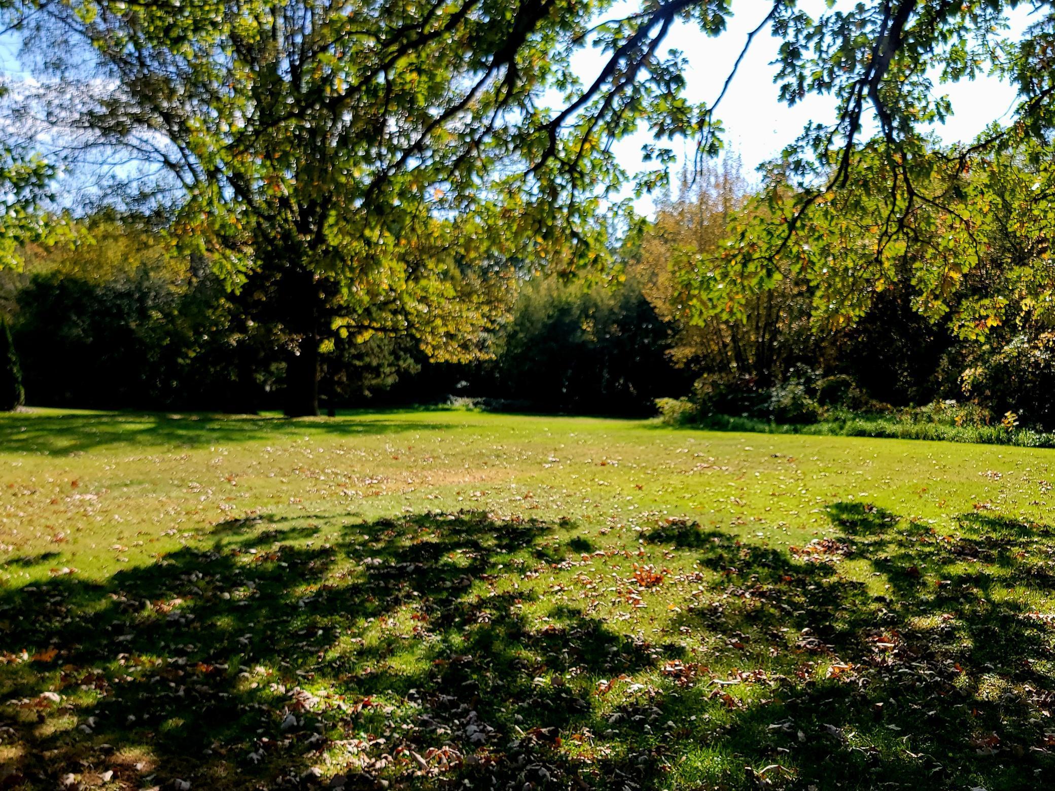 48088 Co Highway 13 Perham, MN 56573 - Photo 30 of 31