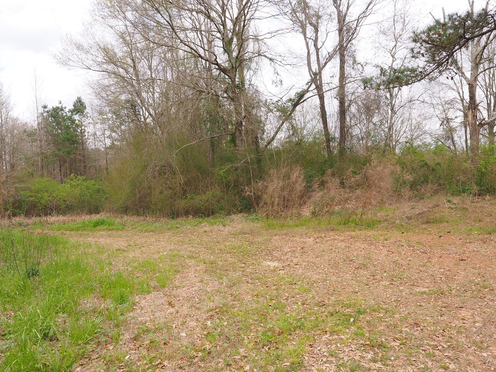 10 Knoxo Road Foxworth, MS 39483 - Photo 4 of 5 Photo 4