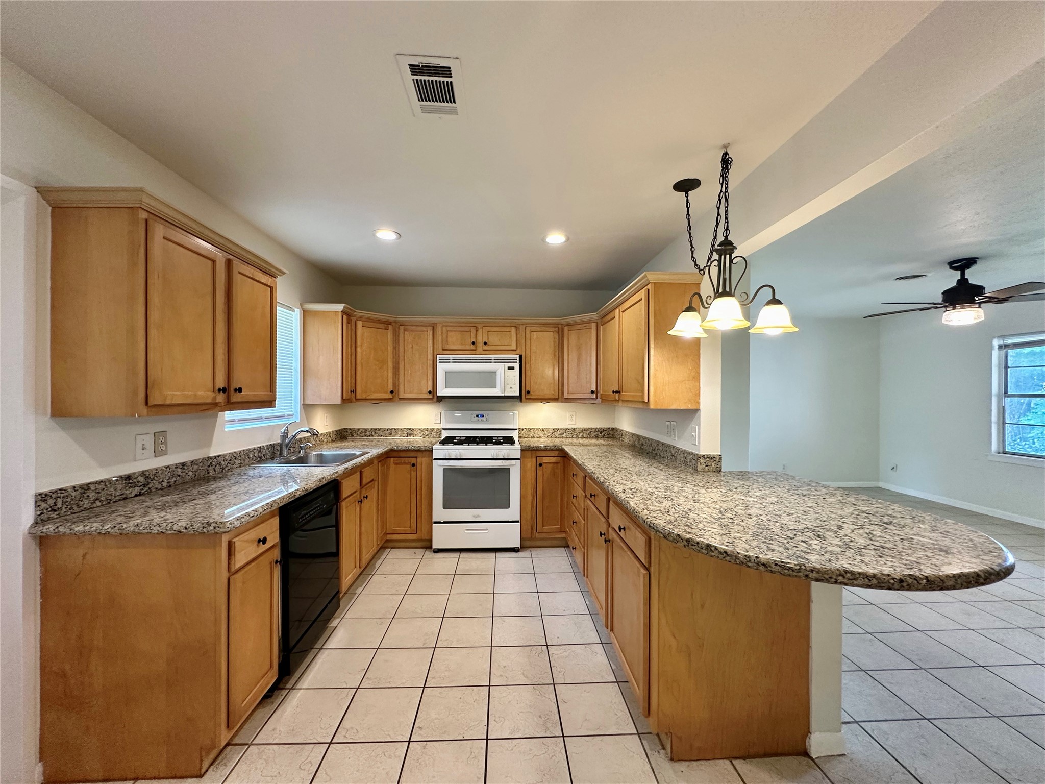5720 Parwill Street, Unit 1 Houston, TX 77081 - Photo 3 of 17
