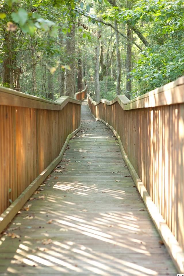 Lot 74 Chamberlin Road Myrtle Beach, SC 29588 - Photo 13 of 16 Gallery Image 13