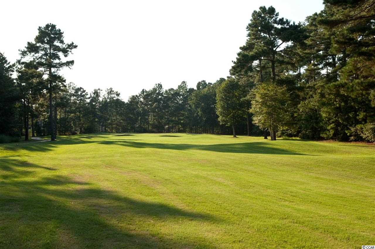 Lot 74 Chamberlin Road Myrtle Beach, SC 29588 - Photo 16 of 16 Gallery Image 16