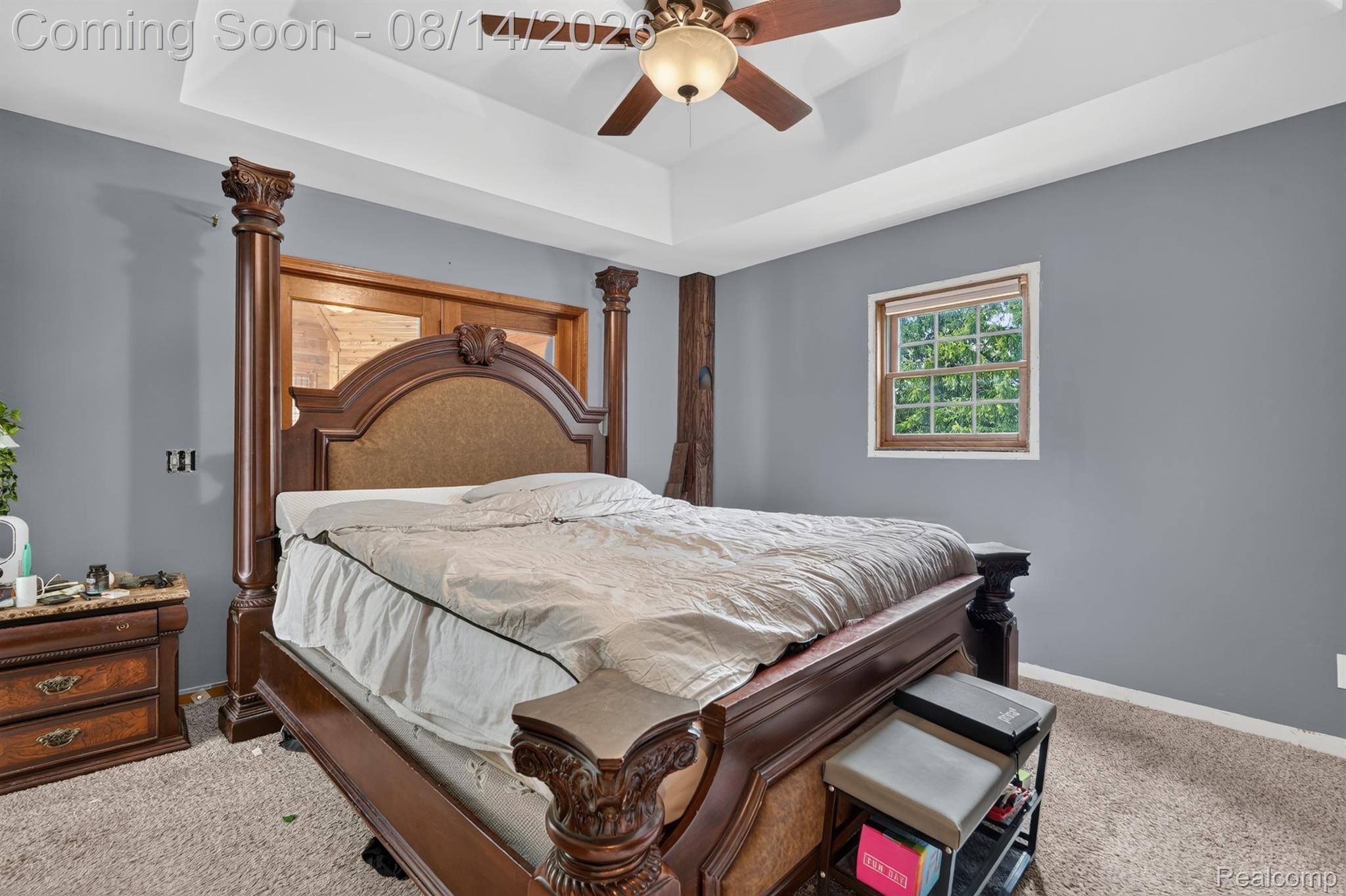 11342 South Morrish Road Gaines, MI 48436 - Photo 8 of 26 Tray ceiling with a ceiling fan light fixture