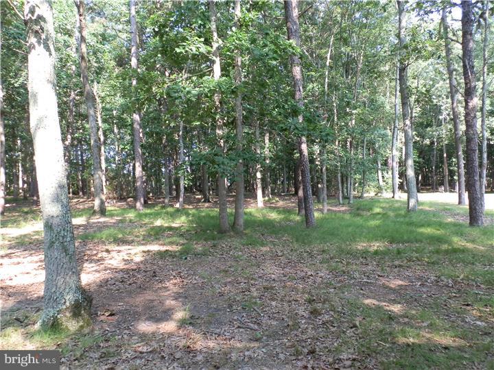 225 Oakshade Road Tabernacle, NJ 08088 - Photo 17 of 17