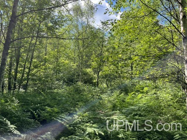 40-acres New DNR Road Crystal Falls, MI 49920 - Photo 41 of 46