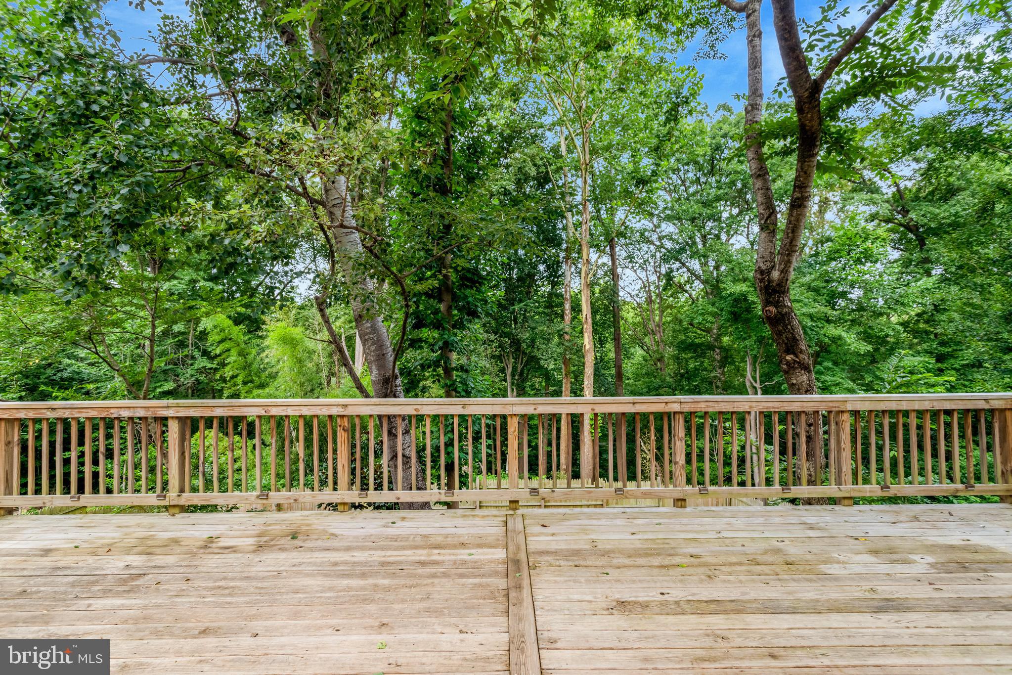 5418 Inverchapel Road Springfield, VA 22151 - Photo 63 of 94