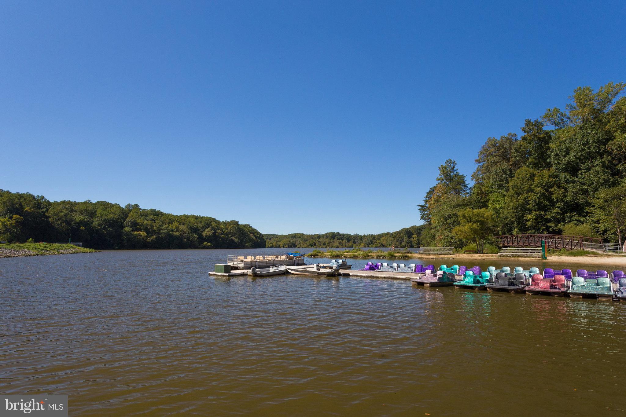 5418 Inverchapel Road Springfield, VA 22151 - Photo 84 of 94 a view of an ocean with boats and trees in the background
