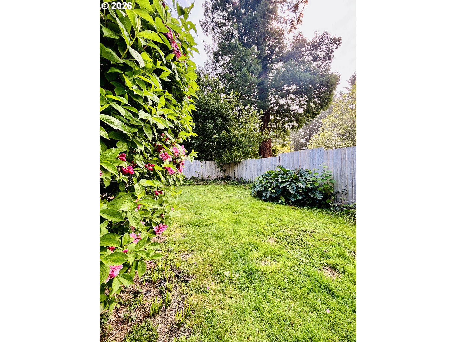 98190 Gavin Lane Brookings, OR 97415 - Photo 34 of 37 a view of a garden