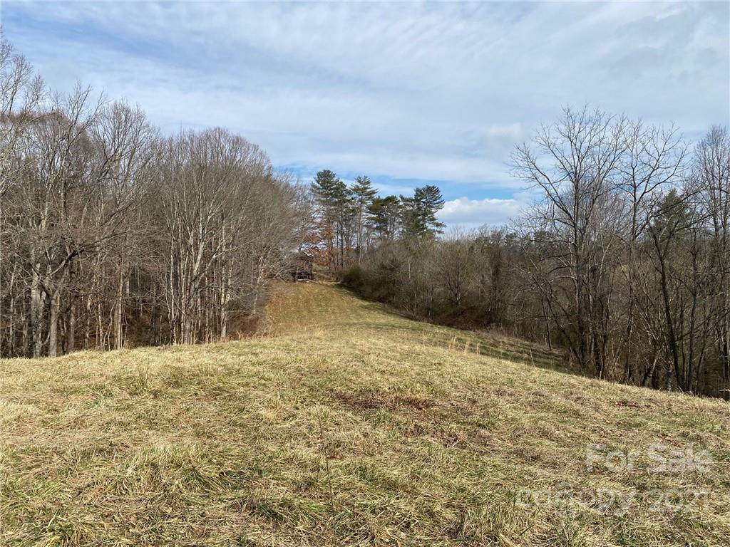 0 Grandview Road Alexander, NC 28701 - Photo 18 of 24 Gallery Image 18