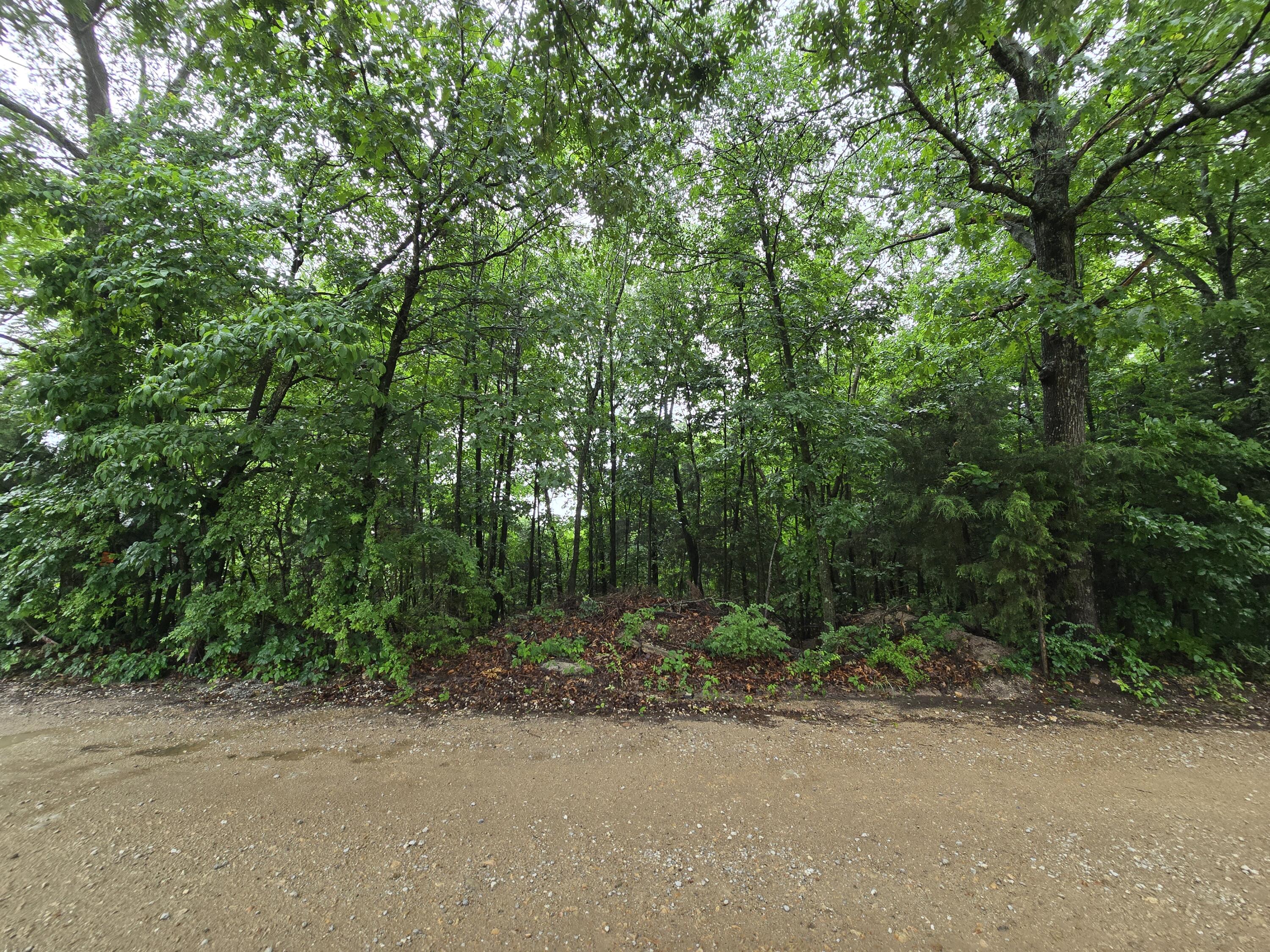 16882 Old Cricket Road West Omaha, AR 72662 - Photo 14 of 20 10