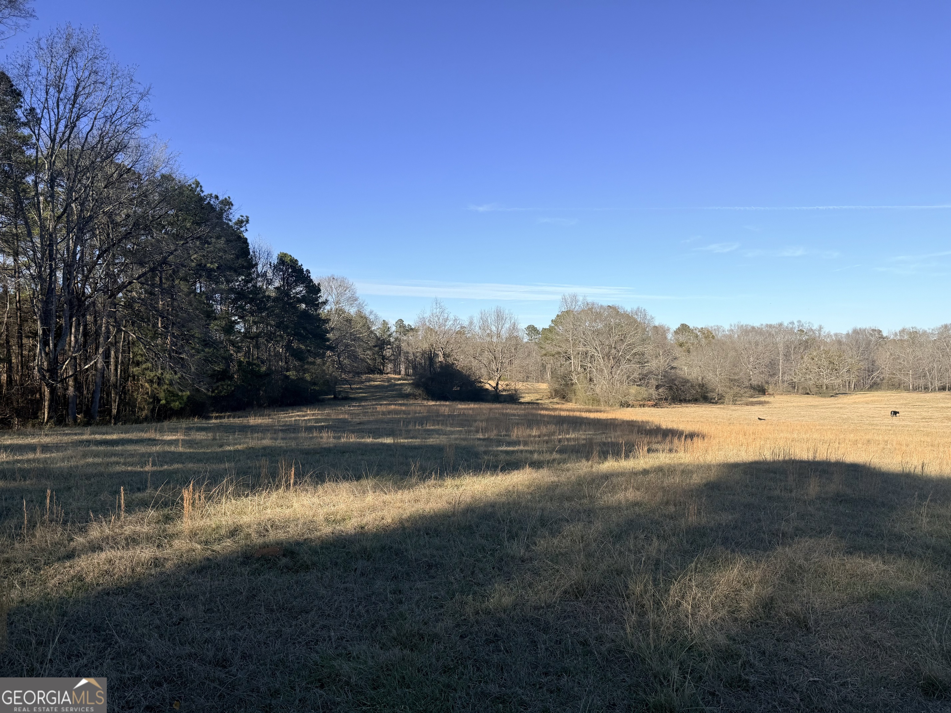 910 Line Creek Road Senoia, GA 30276 - Photo 5 of 56 a view of pool with green space and fog