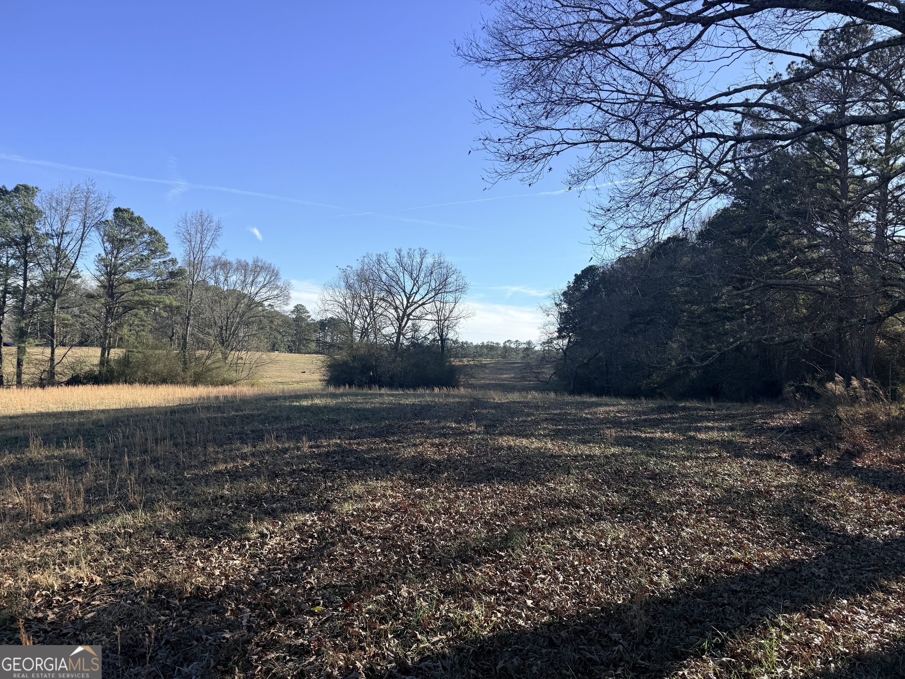 910 Line Creek Road Senoia, GA 30276 - Photo 53 of 56