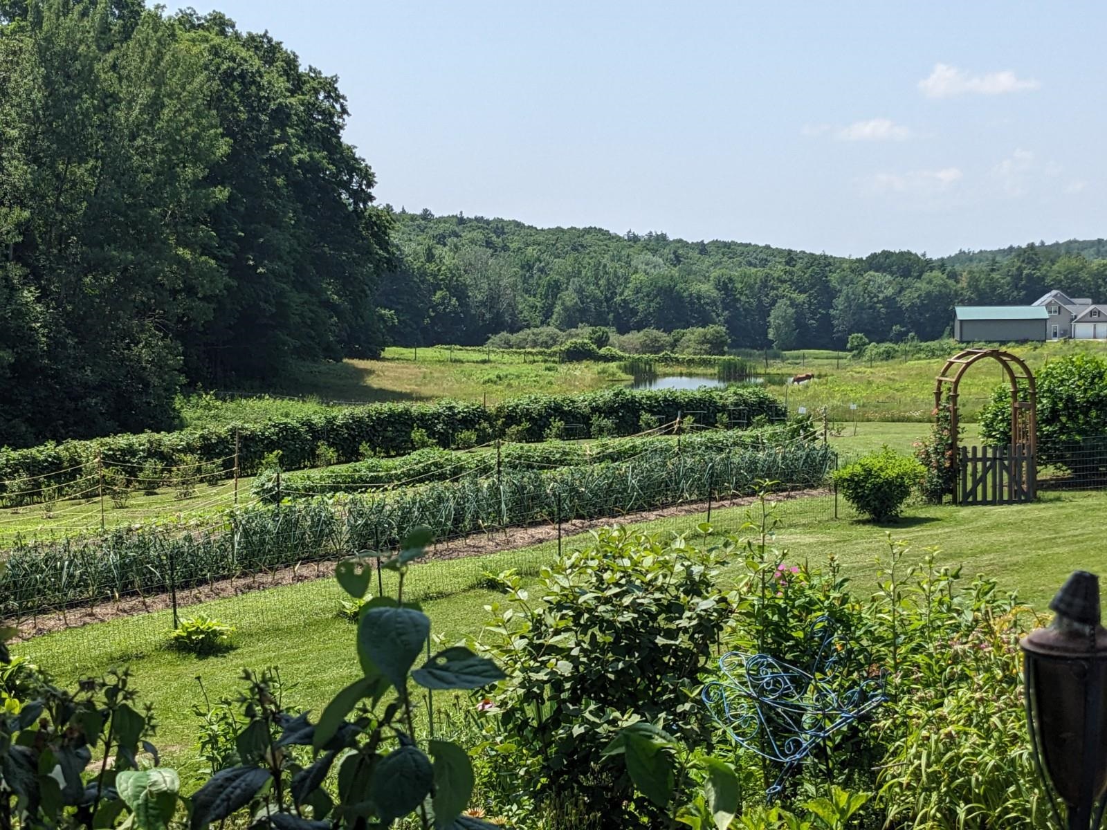 1422 Pond Hill Road Castleton, VT 05735 - Photo 27 of 36