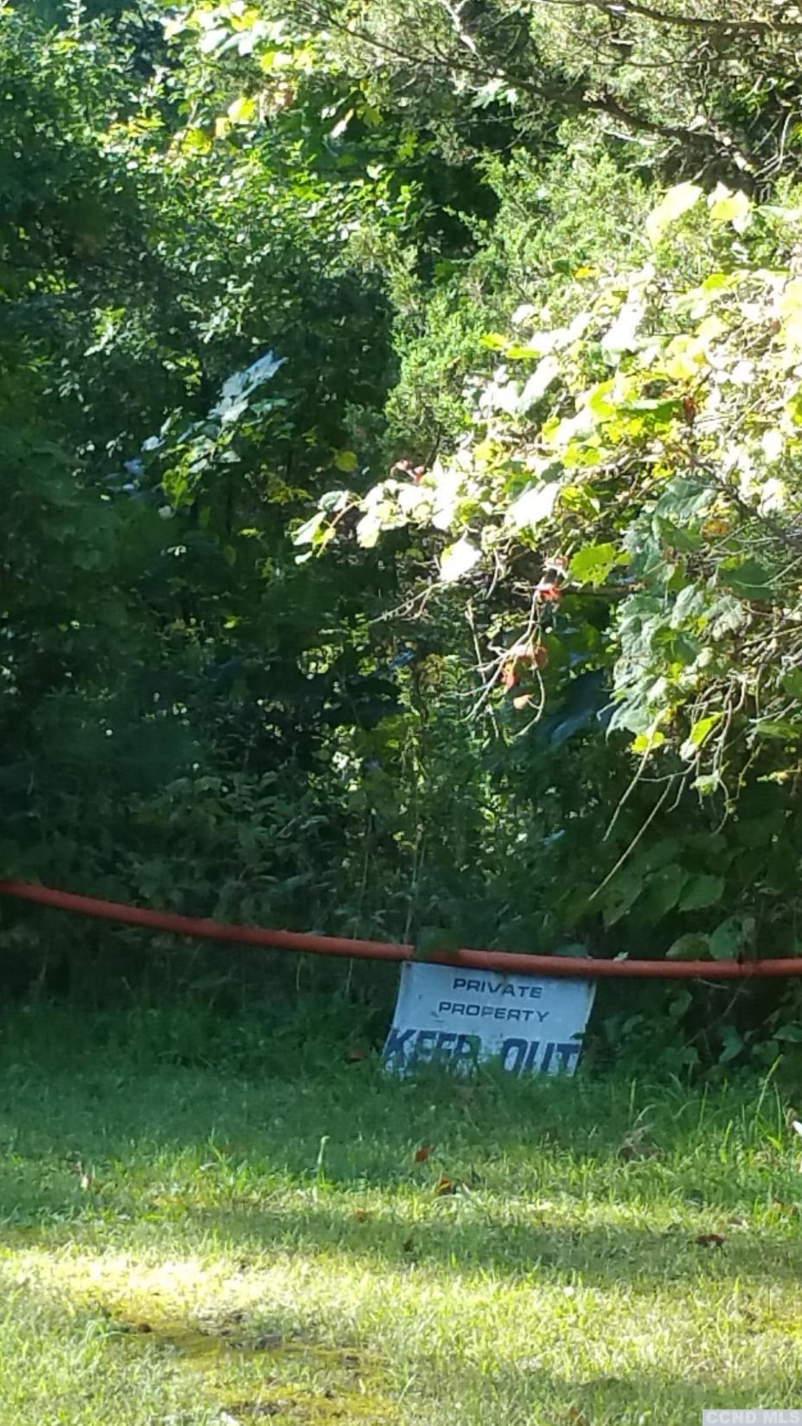 0 Fitting Road Hudson, NY 12534 - Photo 4 of 4 a view of yard with swimming pool