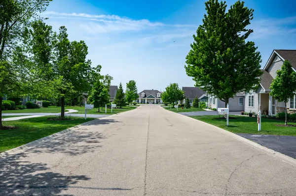 a view of a park with a large trees