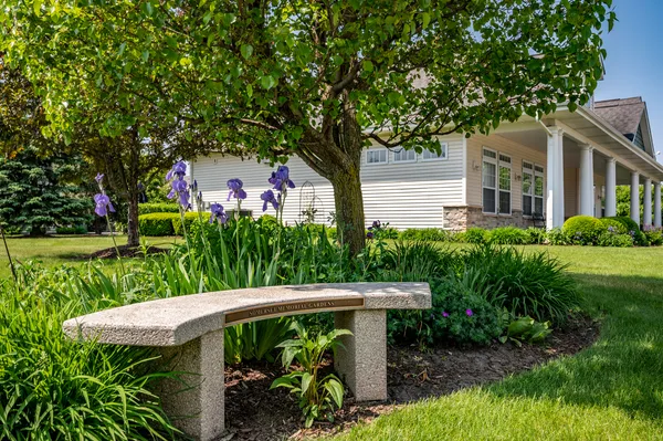 a view of a patio with table and chairs plants and large tree