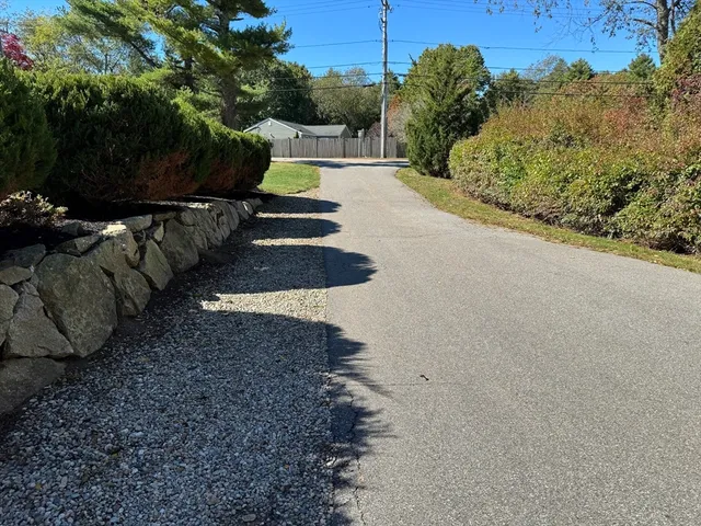 a view of a backyard with plants