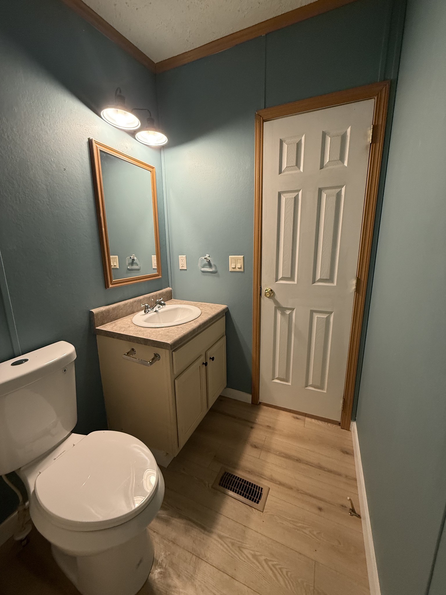 621 Cook Road Portland, TN 37148 - Photo 36 of 55 a bathroom with a sink a toilet a mirror and vanity