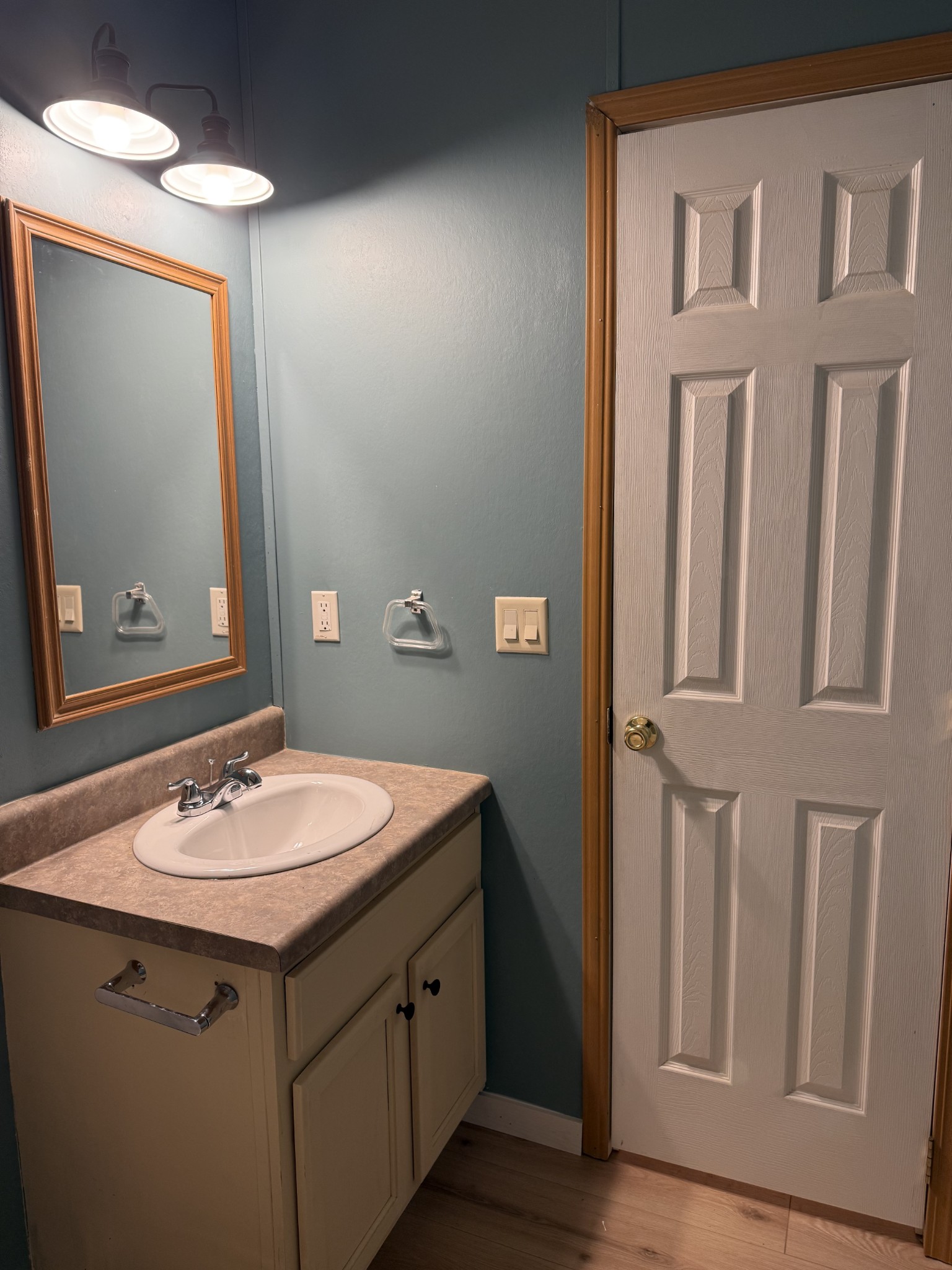 621 Cook Road Portland, TN 37148 - Photo 37 of 55 a bathroom with a sink and a mirror