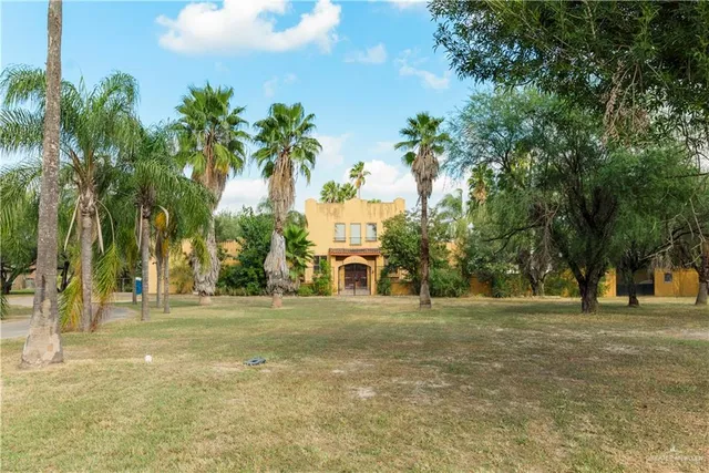 a view of a park with palm trees