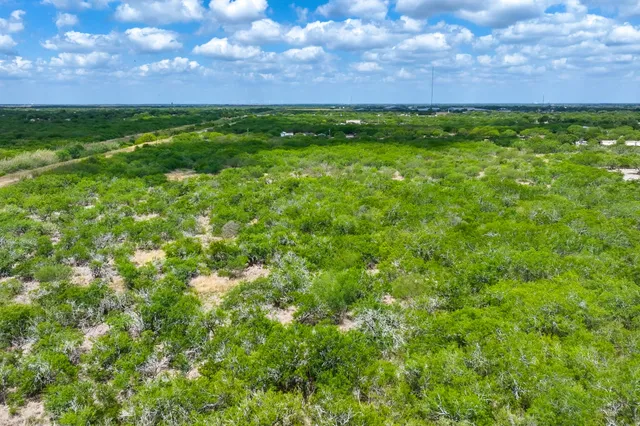 a view of a lush green field