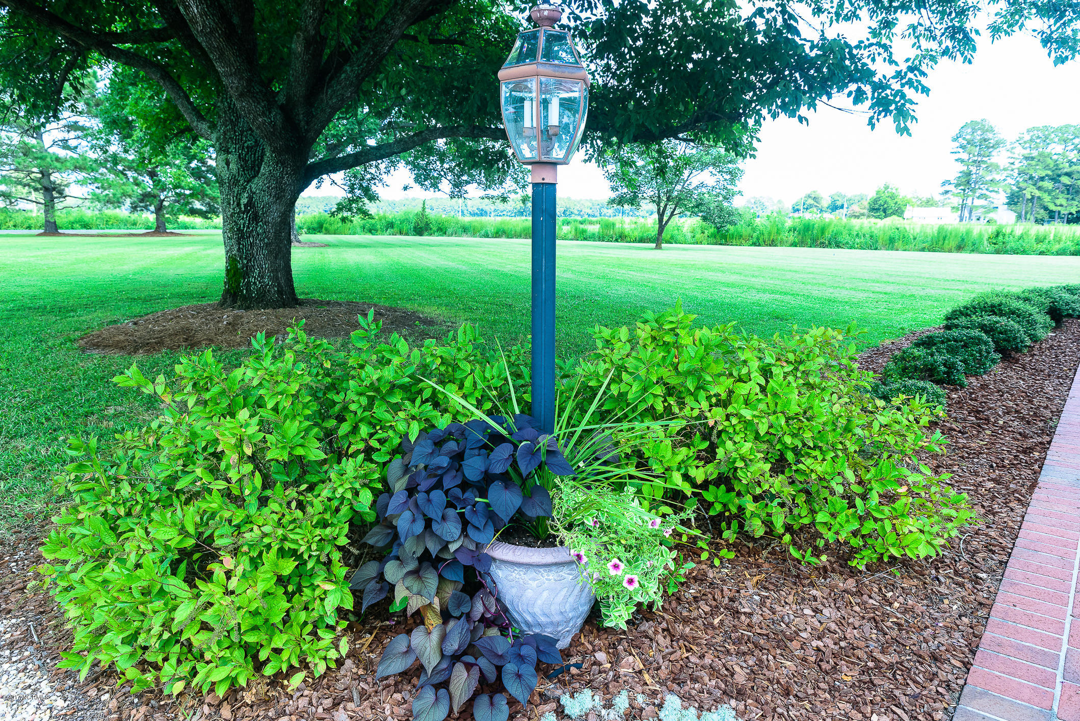8567 Stantonsburg Road Farmville, NC 27828 - Photo 22 of 27 Beautiful and mature landscaping