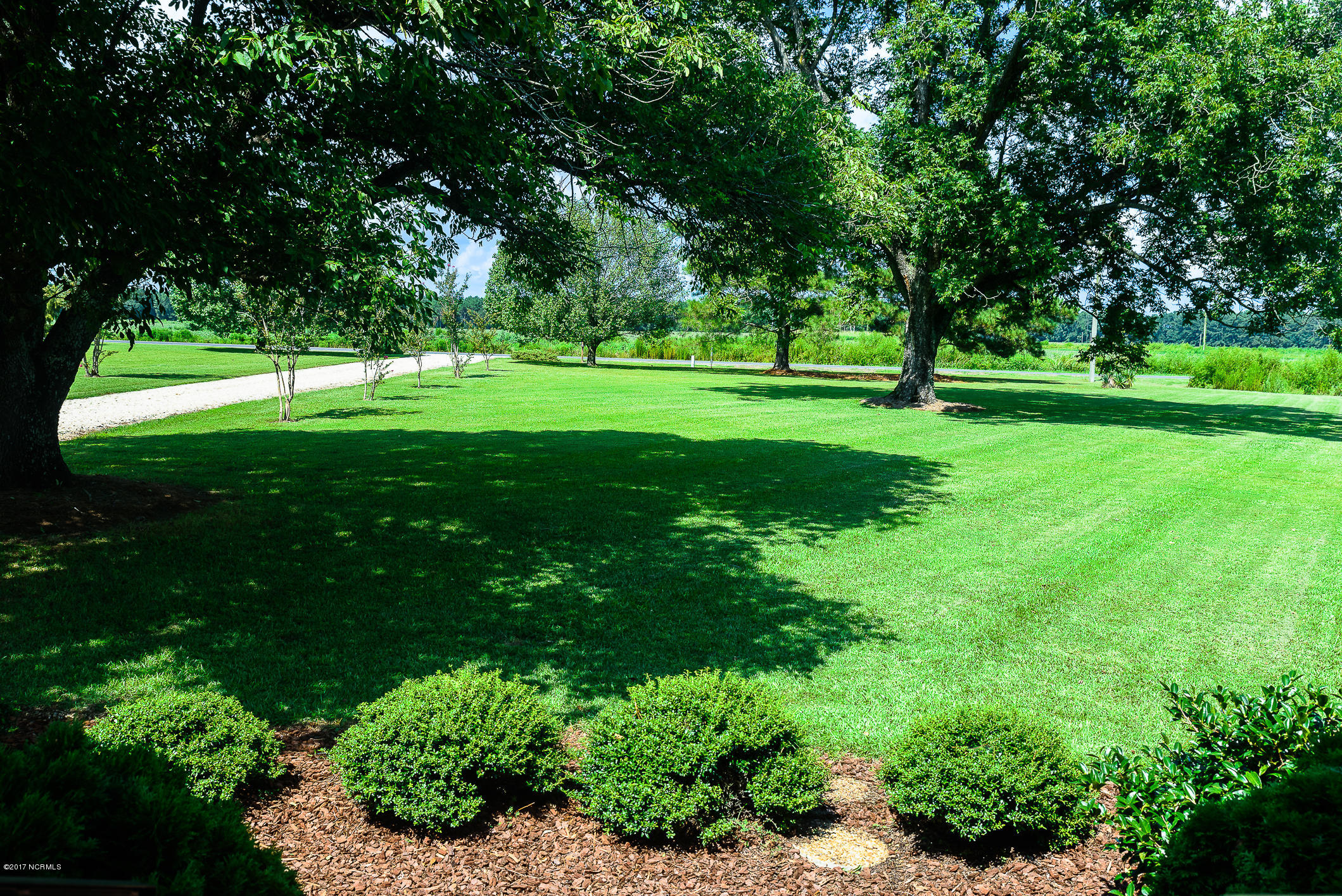 8567 Stantonsburg Road Farmville, NC 27828 - Photo 25 of 27 Tree lined lane from road to house