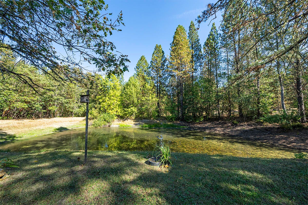 255 Davidson Road Williams, OR 97544 - Photo 39 of 82 Pond