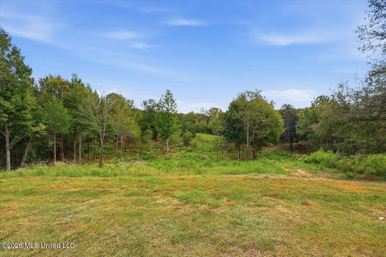 148 Burch Road Mendenhall, MS 39114 - Photo 47 of 81 48-148 Birch Lane _ Hometoursms.com