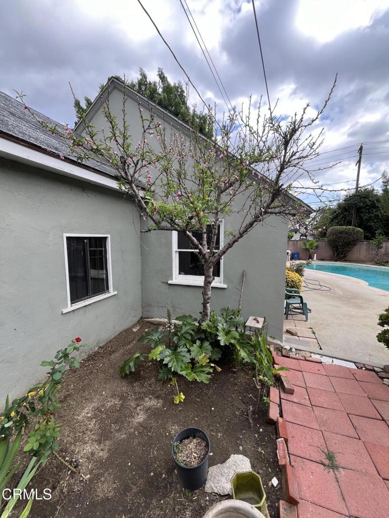 8518 Larkdale Road San Gabriel, CA 91775 - Photo 6 of 7 8518 Larkdale peachtree in bloom