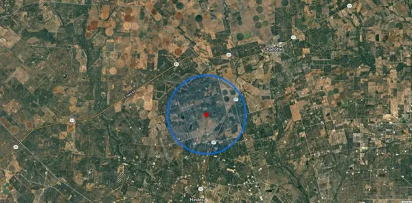 a close up of a tree