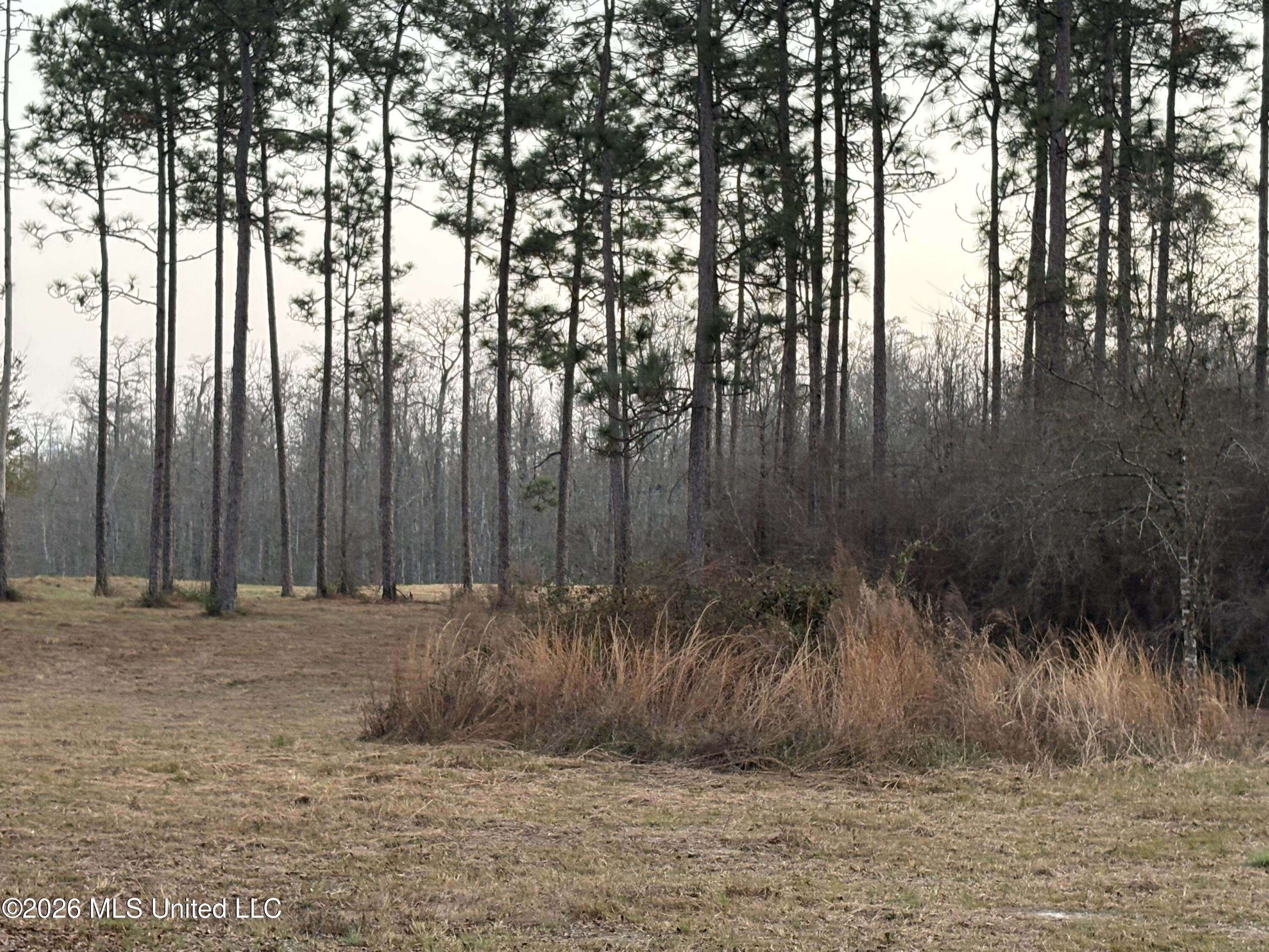 Greenfields Road Moss Point, MS 39562 - Photo 3 of 10 2