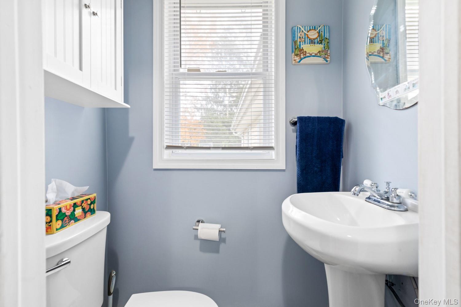 14 Comus Road Rocky Point, NY 11778 - Photo 11 of 23 a bathroom with a sink a toilet and a window