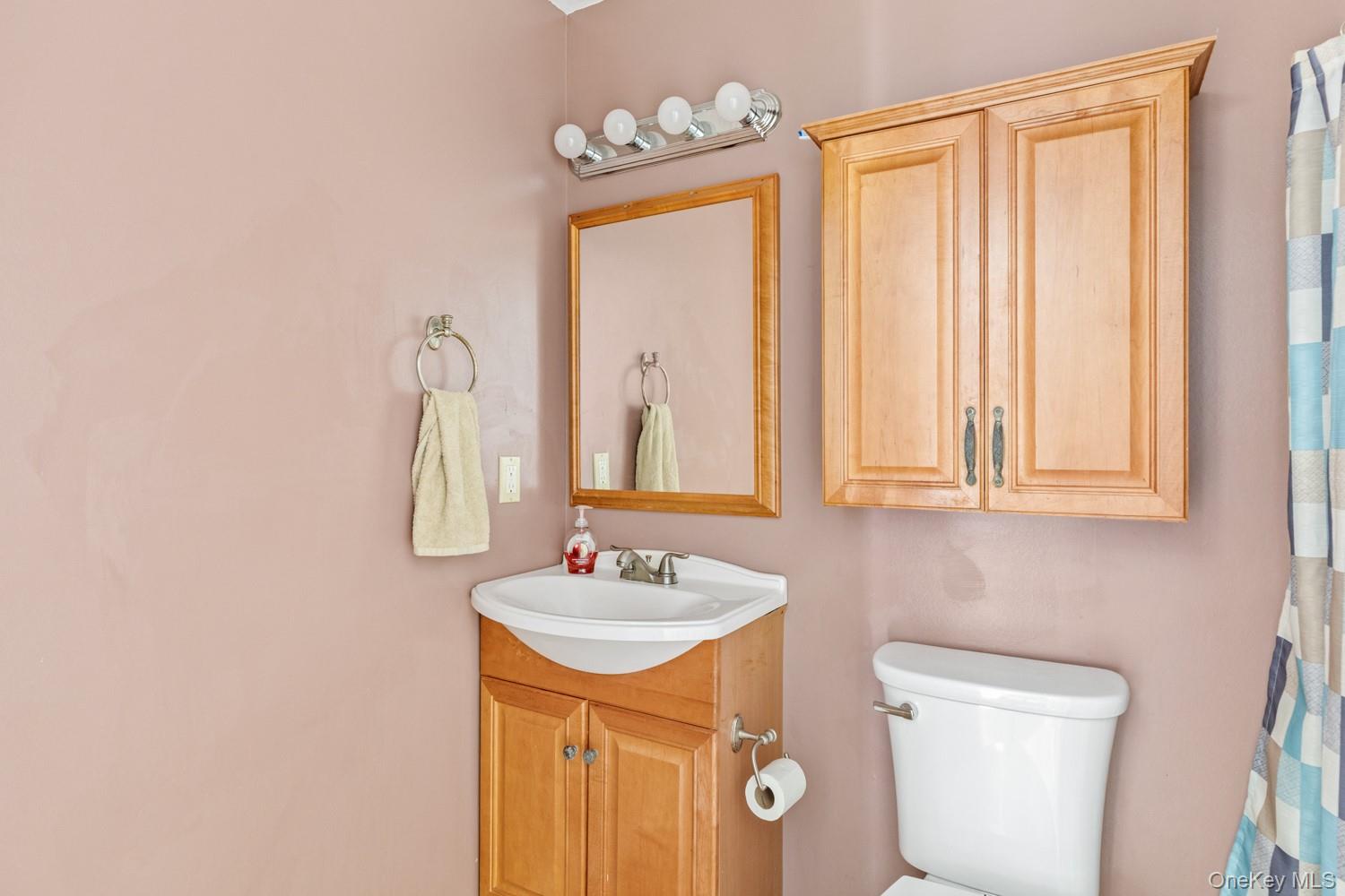 14 Comus Road Rocky Point, NY 11778 - Photo 14 of 23 a bathroom with a sink a mirror and a toilet