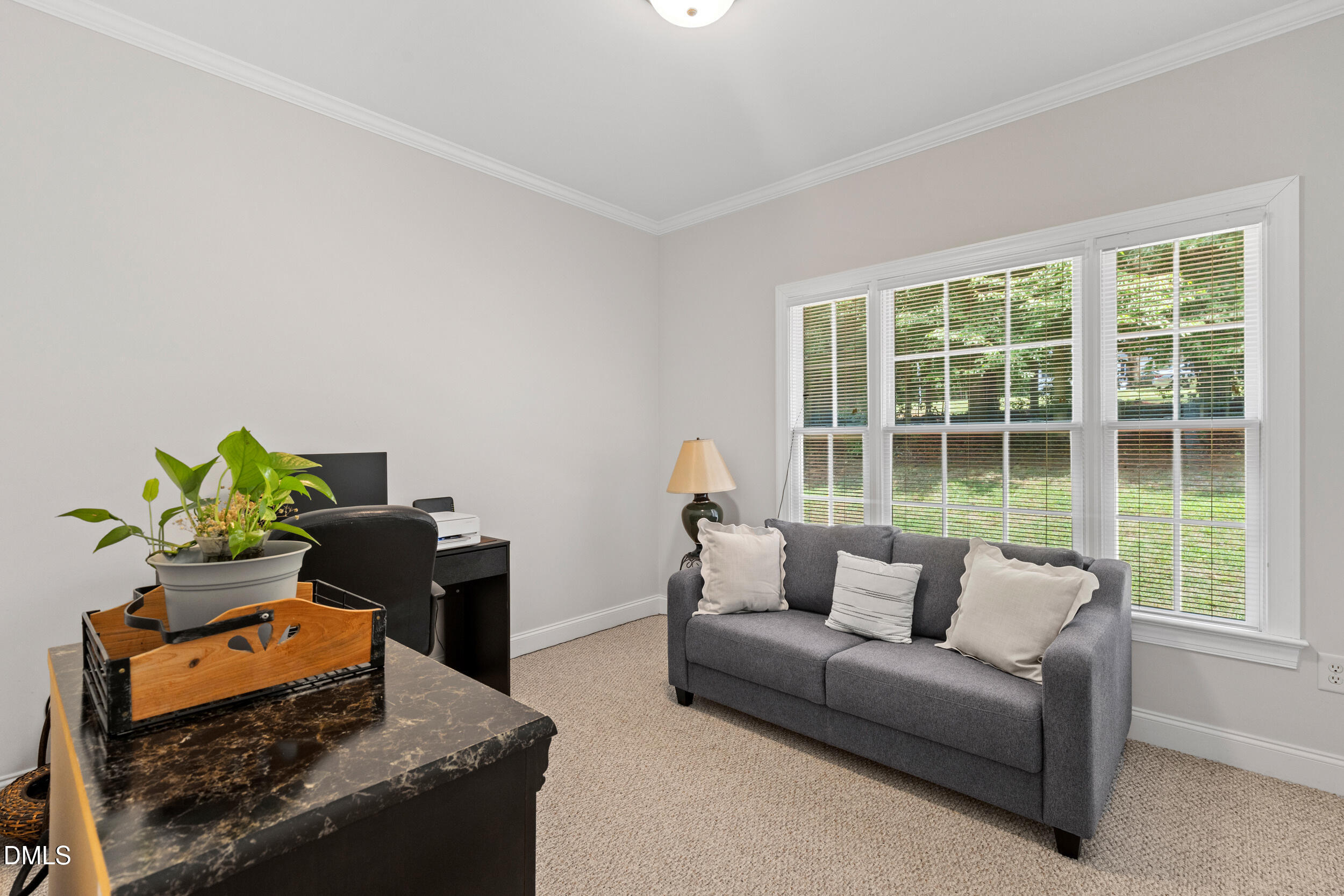 7619 Whitaker Drive Summerfield, NC 27358 - Photo 11 of 25 a living room with furniture and a potted plant