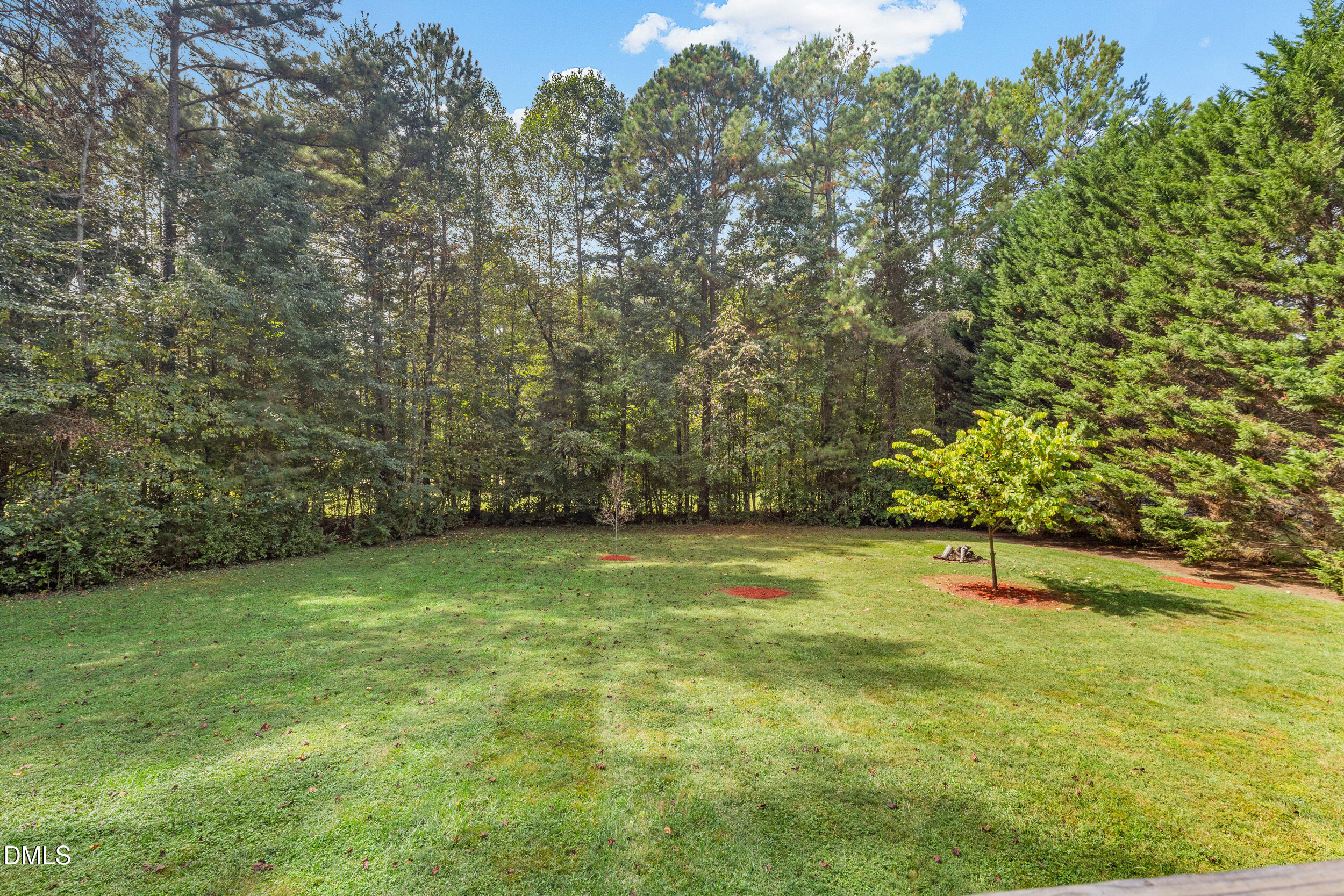 7619 Whitaker Drive Summerfield, NC 27358 - Photo 25 of 25 a view of a field with an trees