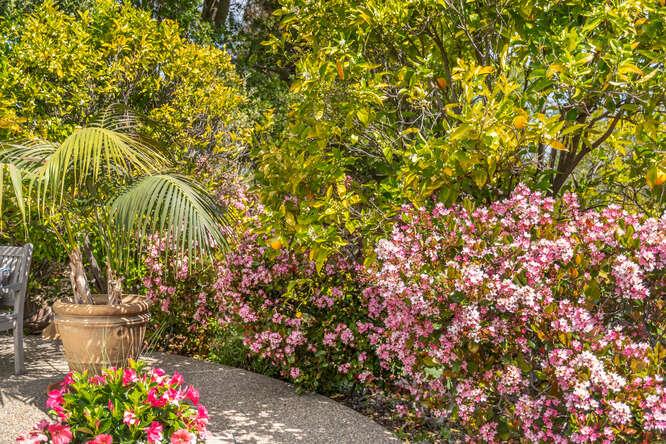 840 Longview Road Hillsborough, CA 94010 - Photo 37 of 49 a view of a bunch of flowers