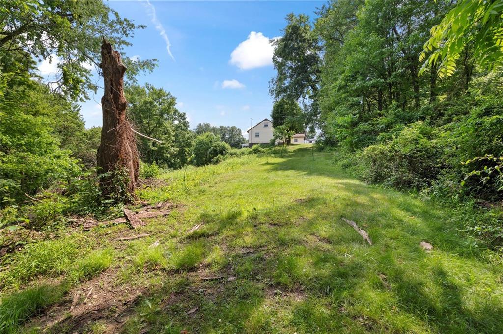 2184 Dime Road Vandergrift, PA 15690 - Photo 17 of 25 a backyard of a house with lots of green space