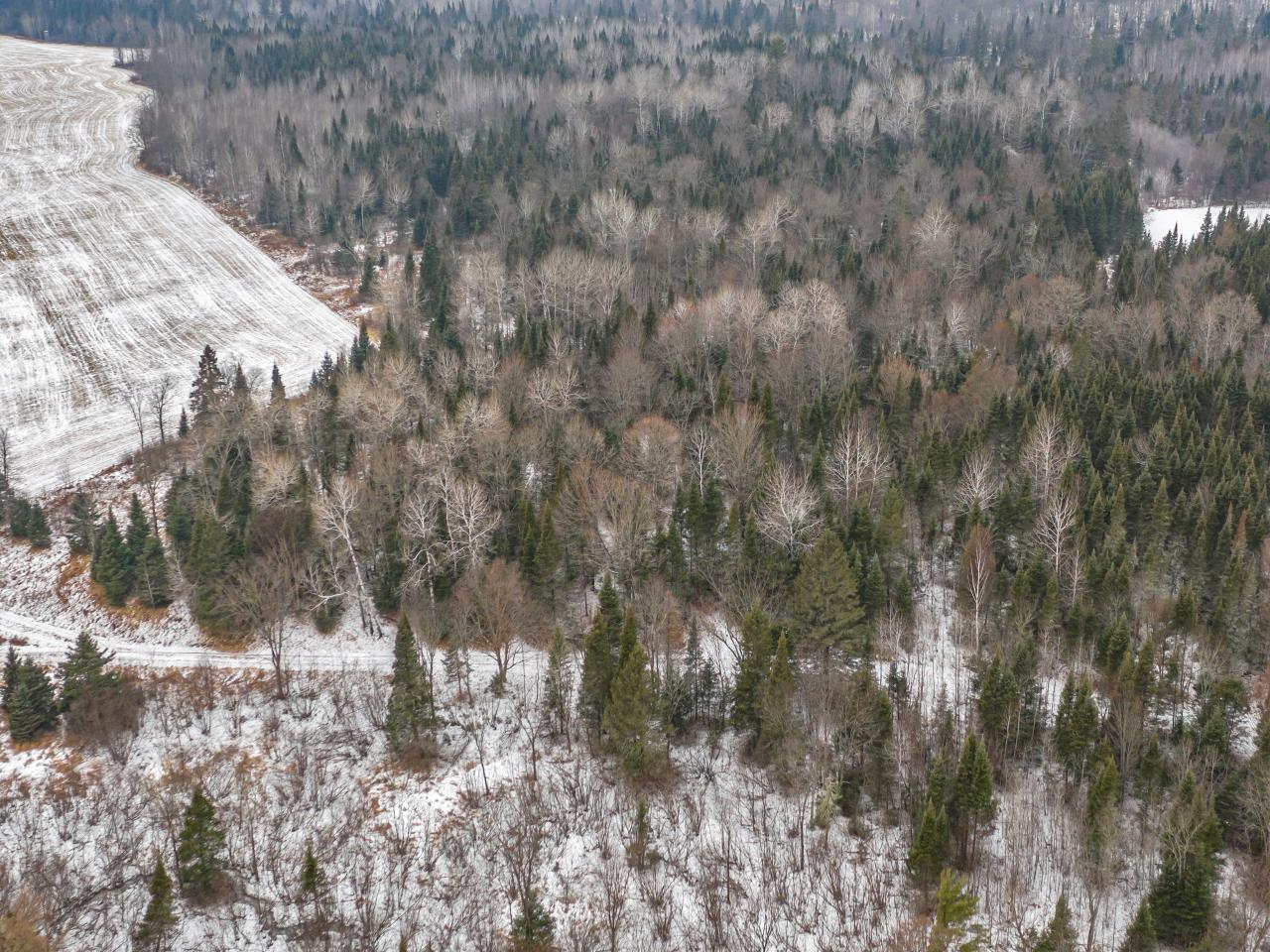 Off West Road Butternut, WI 54514 - Photo 16 of 21 Gallery Image 16