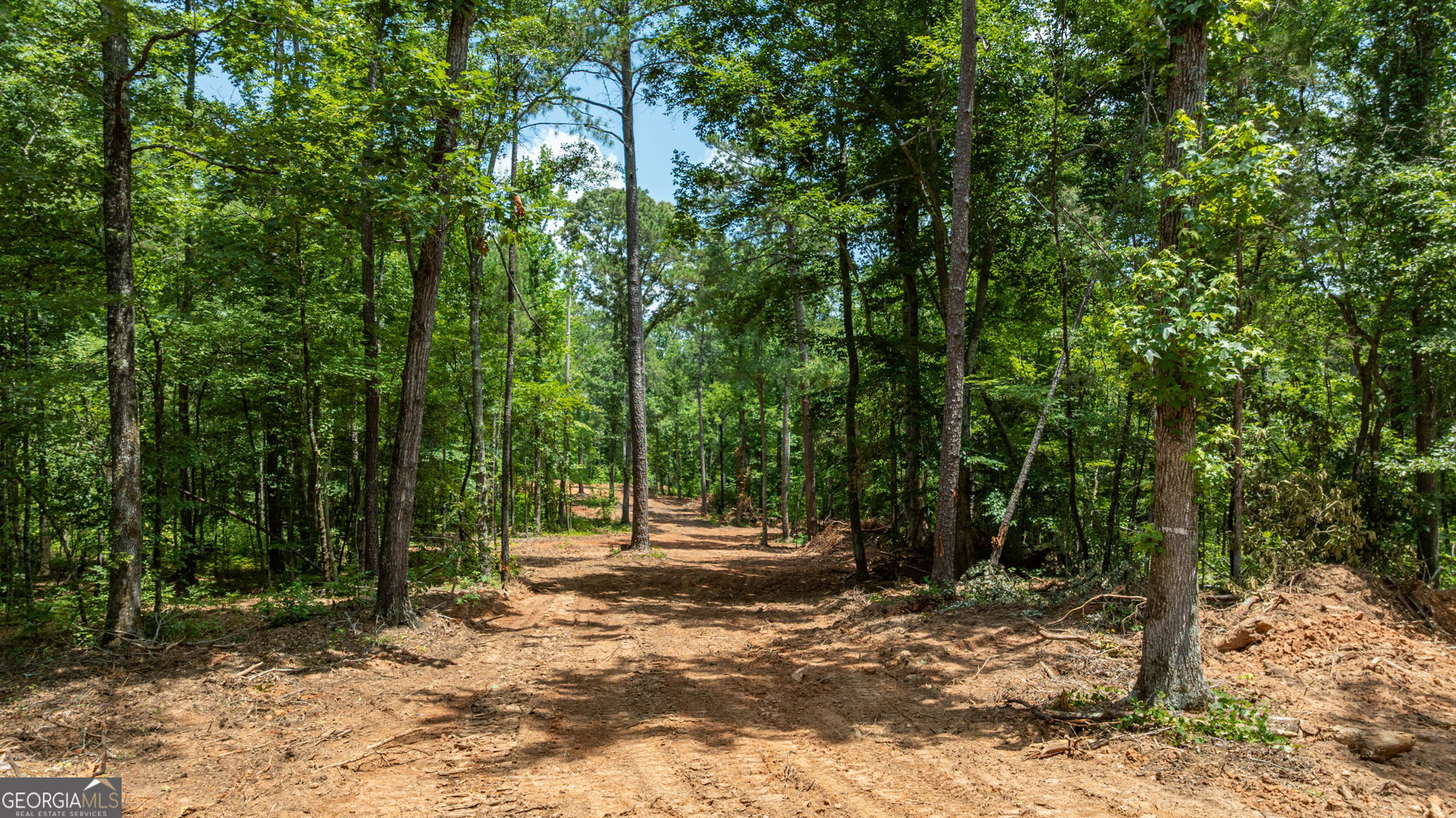 557 Faust Farm Road Crawford, GA 30630 - Photo 6 of 22