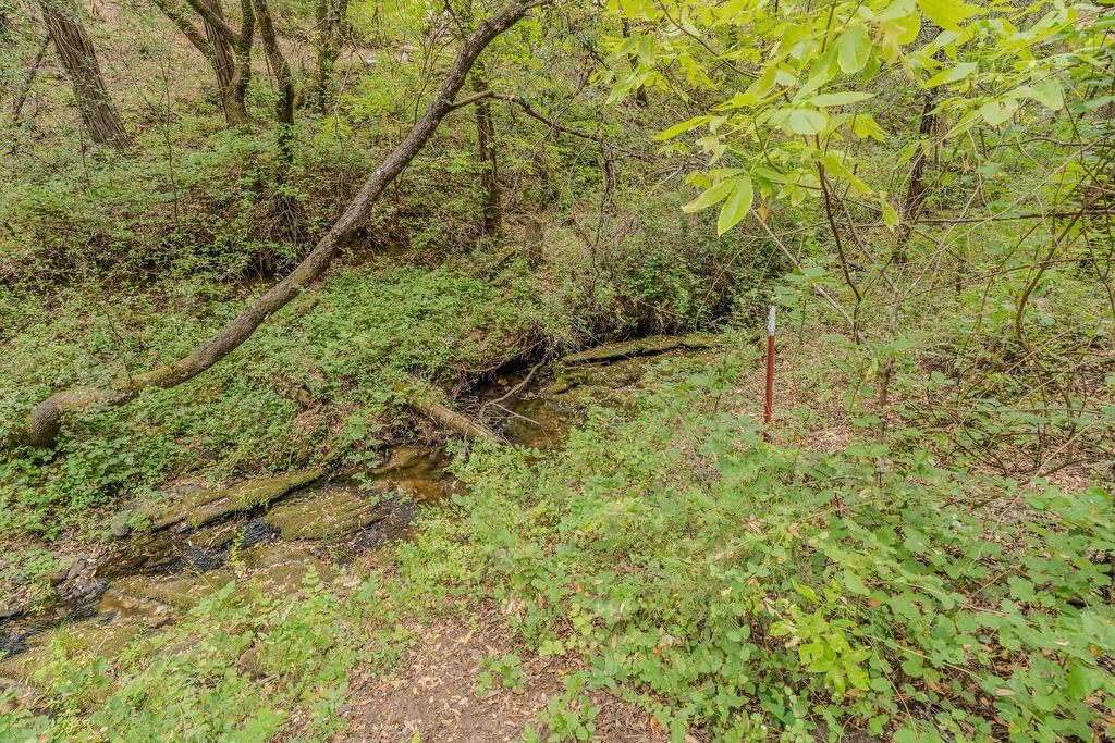 18101 Old River Road Fiddletown, CA 95629 - Photo 4 of 53 Gallery Image 4