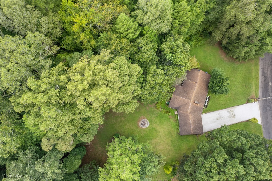 627 River Road Canal Fulton, OH 44614 - Photo 28 of 30 2 acre yard with mature trees