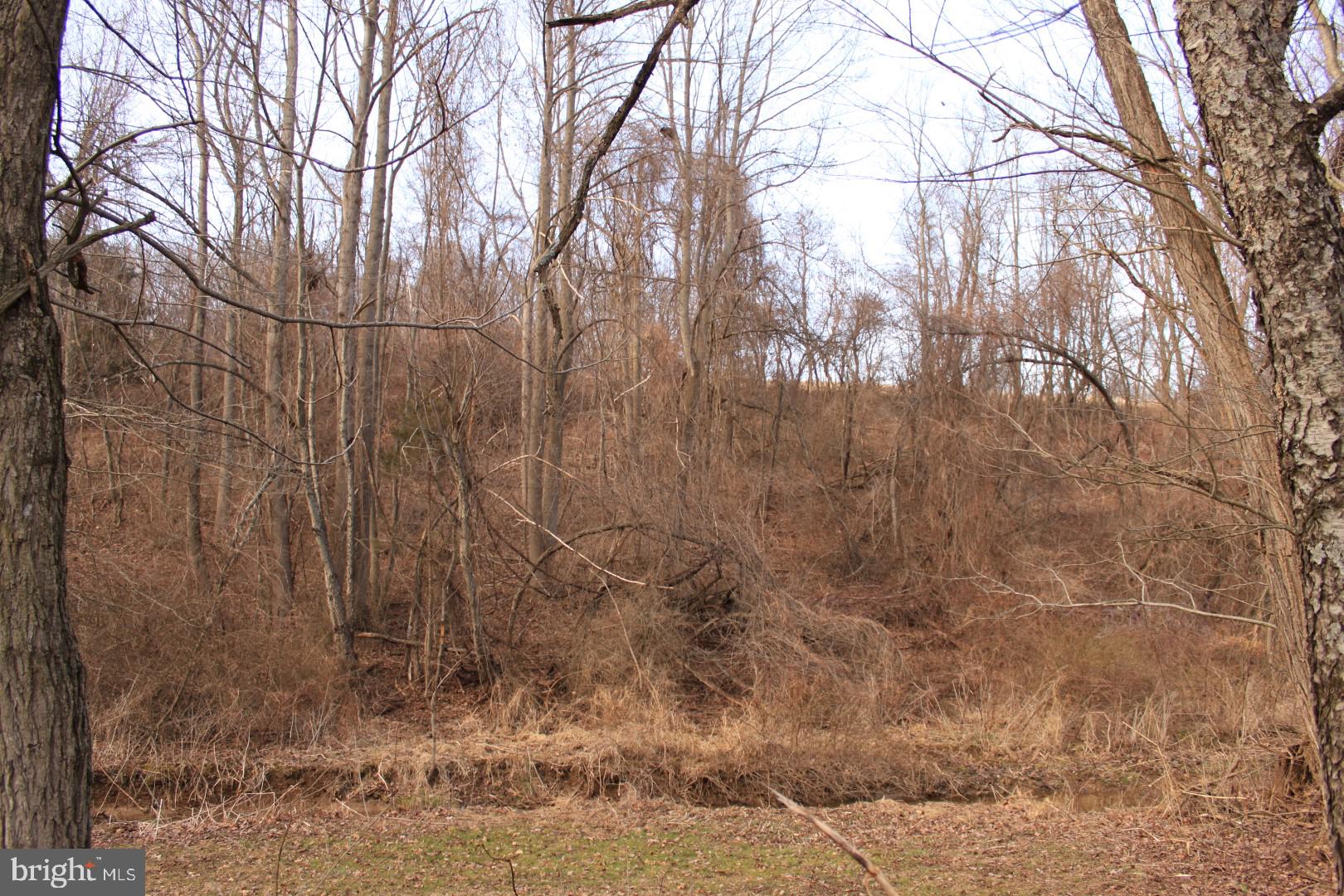 11674 White Oak Road New Freedom, PA 17349 - Photo 30 of 51 Gallery Image 30