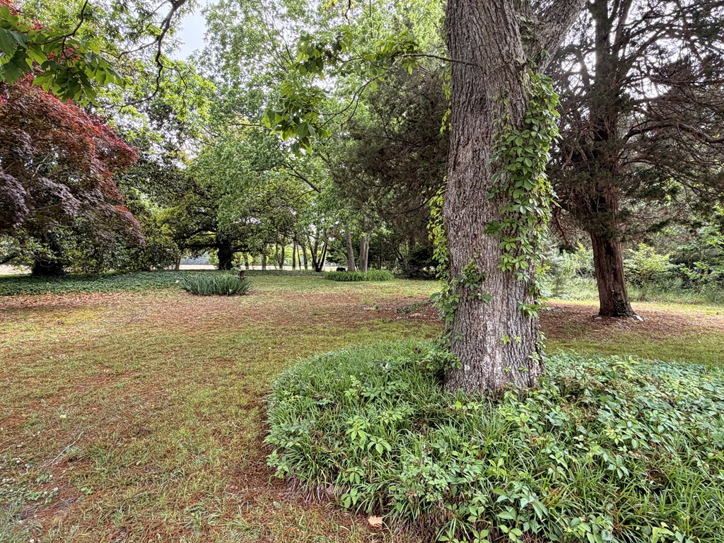 2246 Morley's Wharf Road Exmore, VA 23350 - Photo 36 of 53
