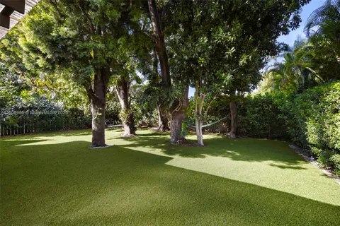 a view of a trees in a park