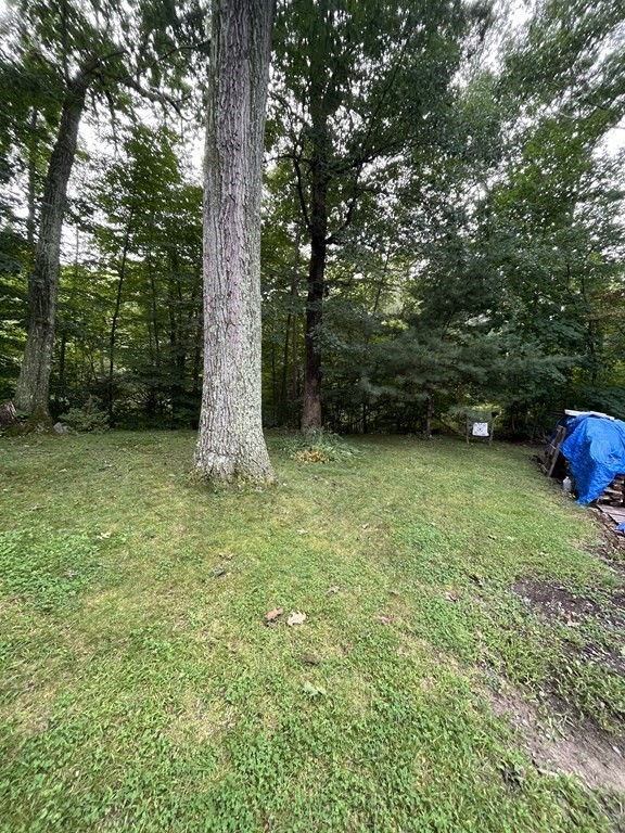 6 New Street Billerica, MA 01821 - Photo 5 of 17