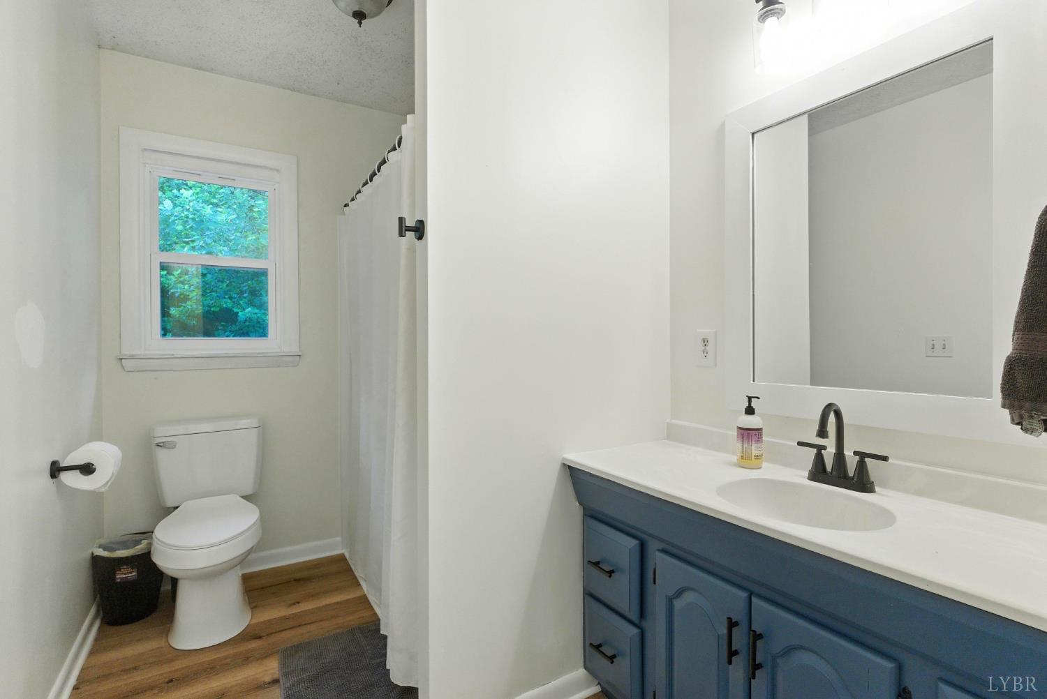 2078 Featherfin Road Prospect, VA 23960 - Photo 20 of 49 a bathroom with a sink and a mirror