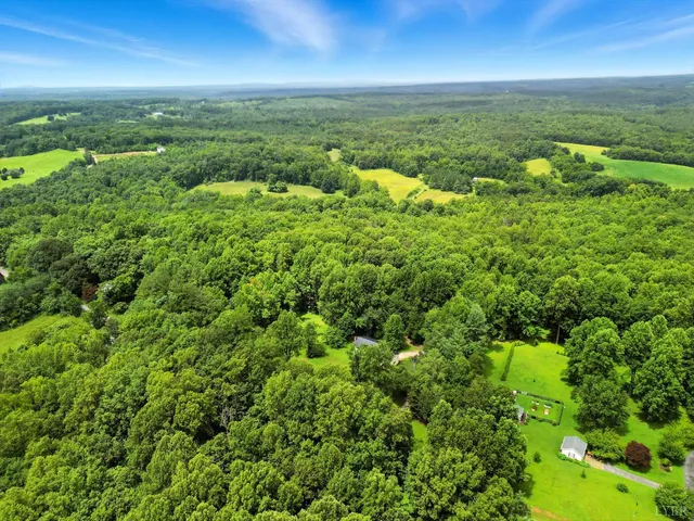a view of a big yard with plants and large trees